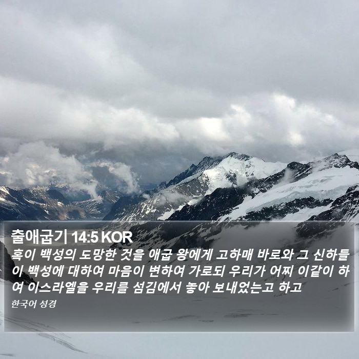 출애굽기 14:5 KOR Bible Study