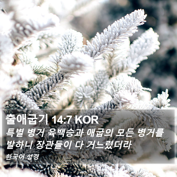 출애굽기 14:7 KOR Bible Study