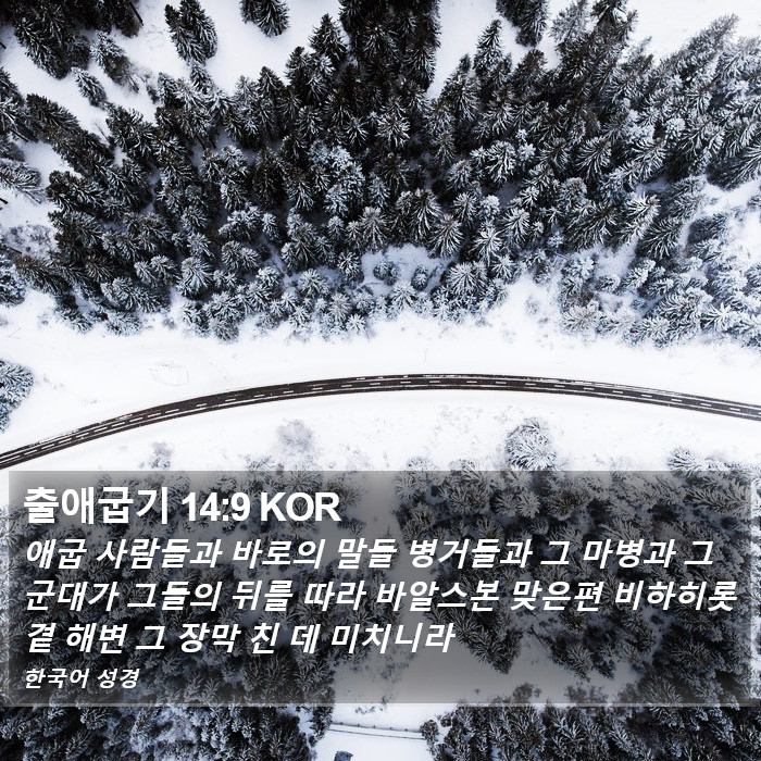 출애굽기 14:9 KOR Bible Study