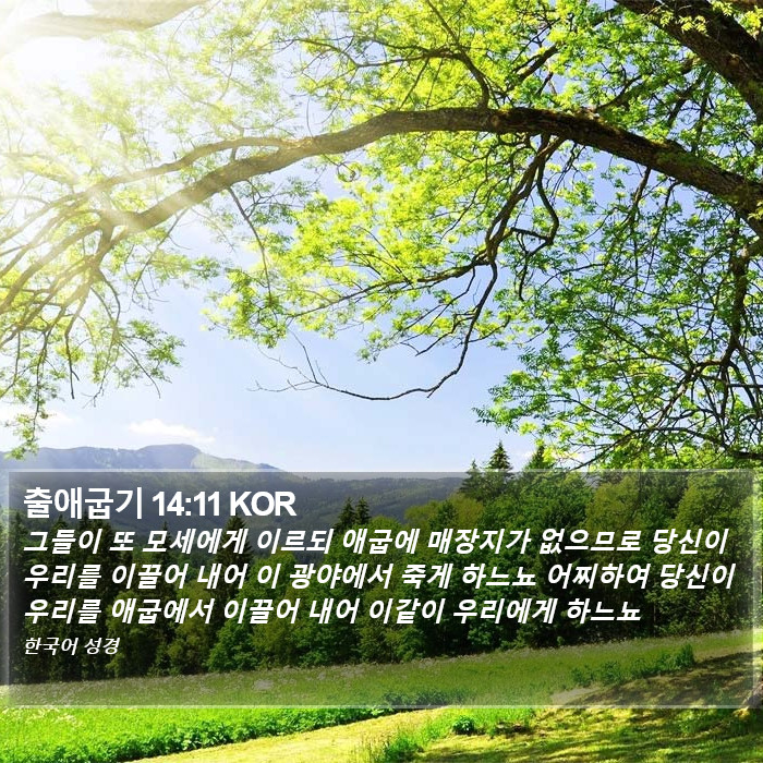 출애굽기 14:11 KOR Bible Study