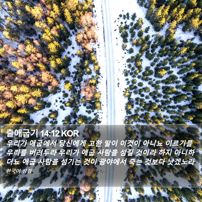 출애굽기 14:12 KOR Bible Study