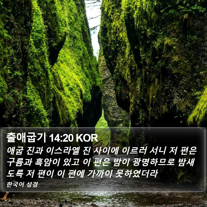 출애굽기 14:20 KOR Bible Study