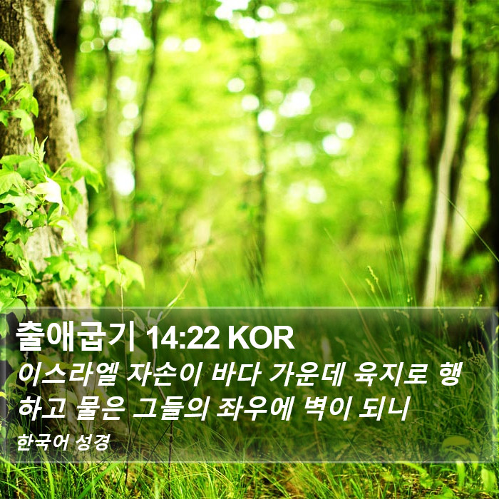 출애굽기 14:22 KOR Bible Study