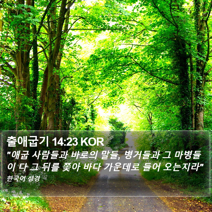 출애굽기 14:23 KOR Bible Study