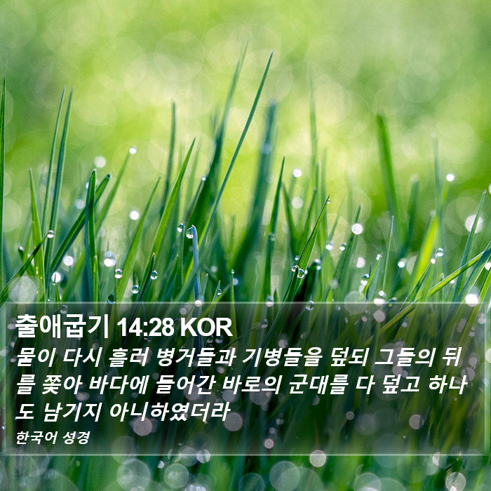 출애굽기 14:28 KOR Bible Study