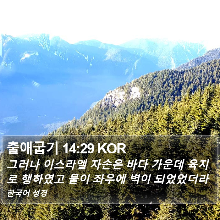 출애굽기 14:29 KOR Bible Study