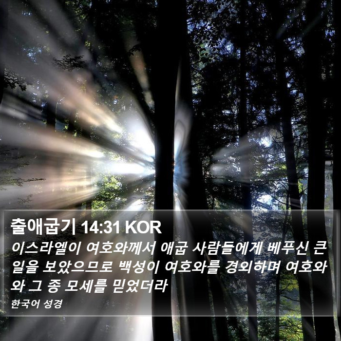 출애굽기 14:31 KOR Bible Study