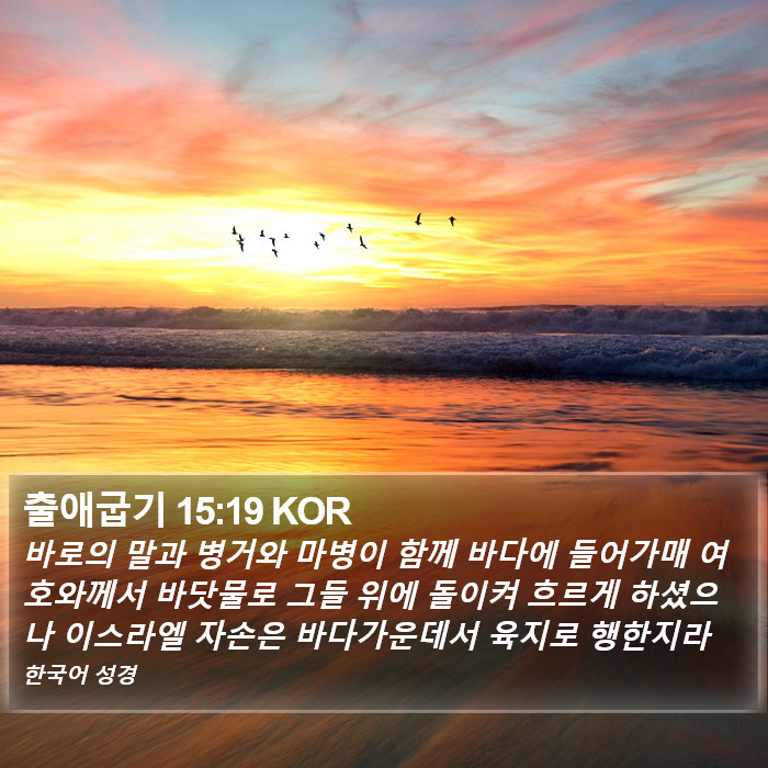 출애굽기 15:19 KOR Bible Study