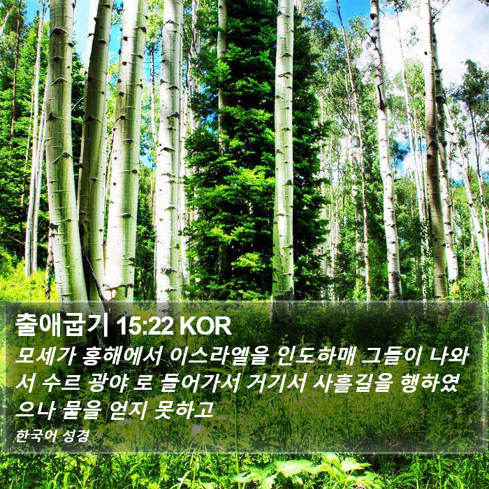 출애굽기 15:22 KOR Bible Study