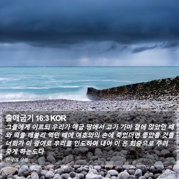 출애굽기 16:3 KOR Bible Study