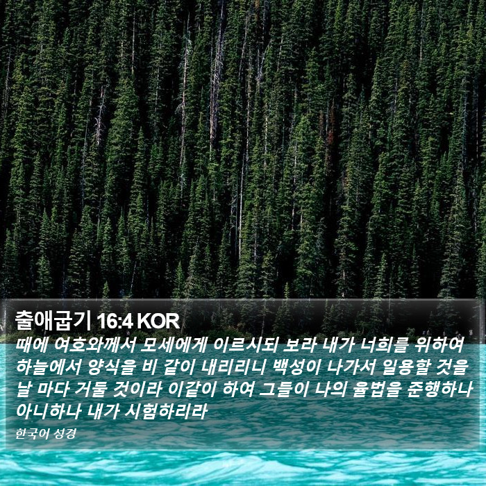 출애굽기 16:4 KOR Bible Study