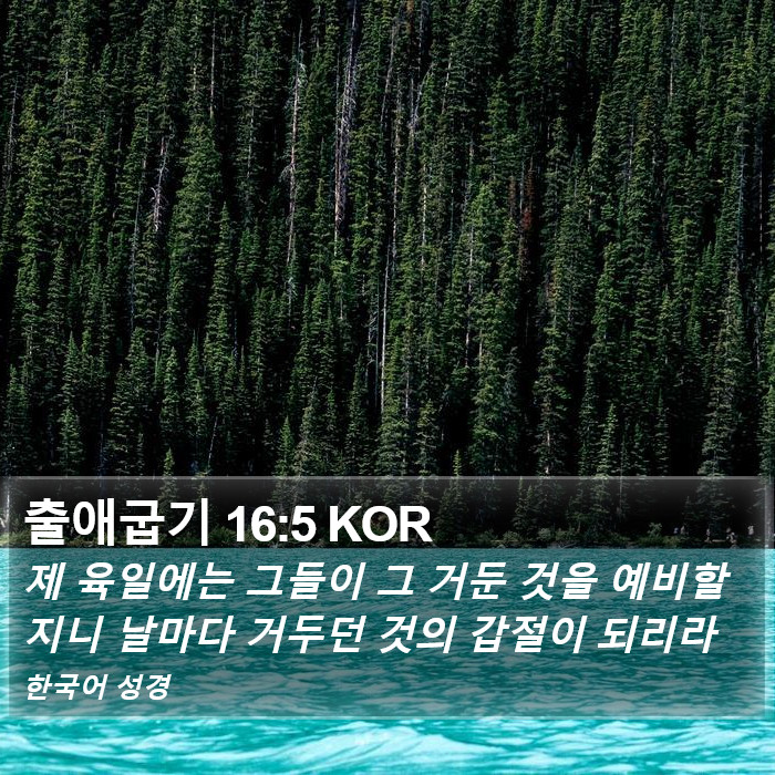 출애굽기 16:5 KOR Bible Study