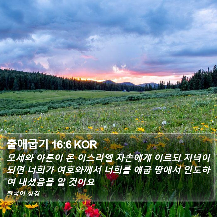 출애굽기 16:6 KOR Bible Study