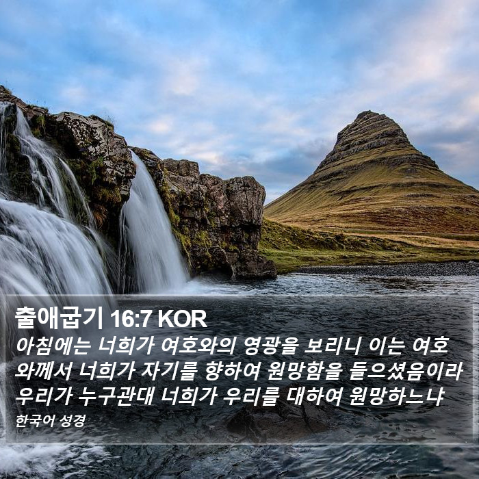 출애굽기 16:7 KOR Bible Study