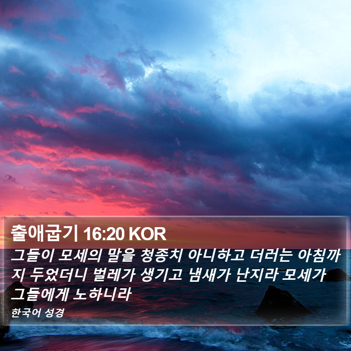 출애굽기 16:20 KOR Bible Study