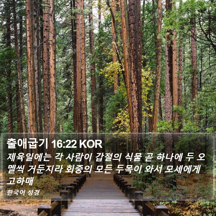 출애굽기 16:22 KOR Bible Study