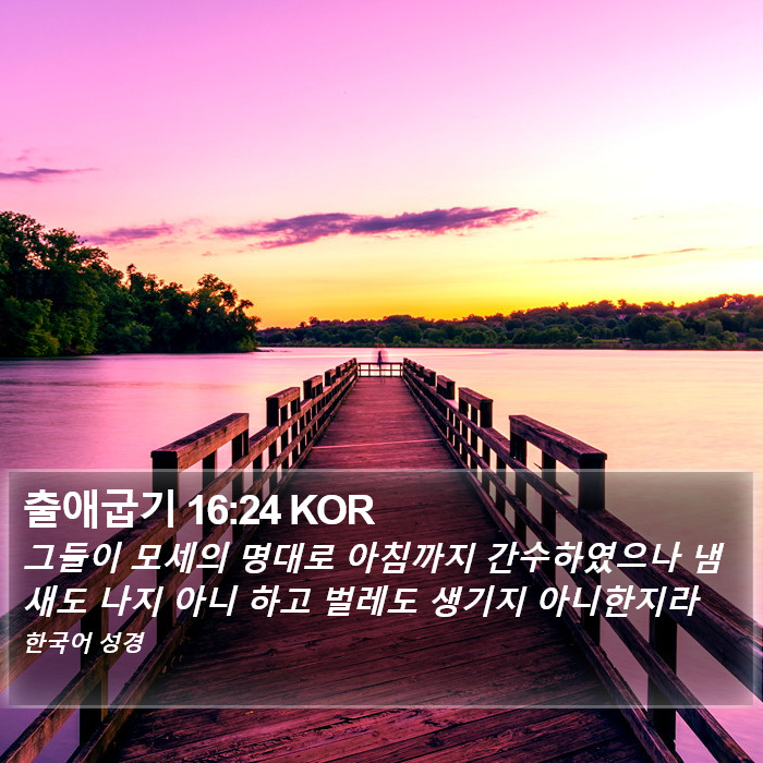 출애굽기 16:24 KOR Bible Study