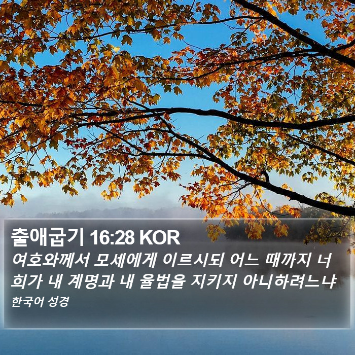 출애굽기 16:28 KOR Bible Study