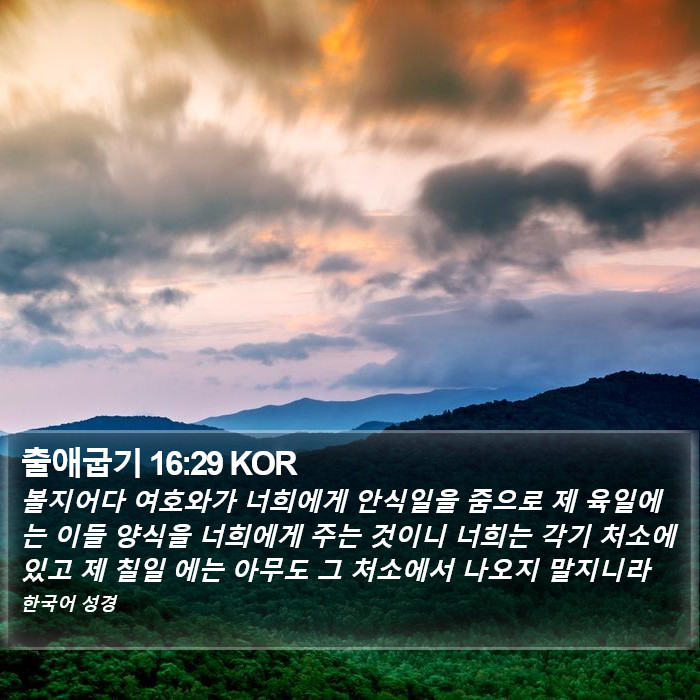 출애굽기 16:29 KOR Bible Study