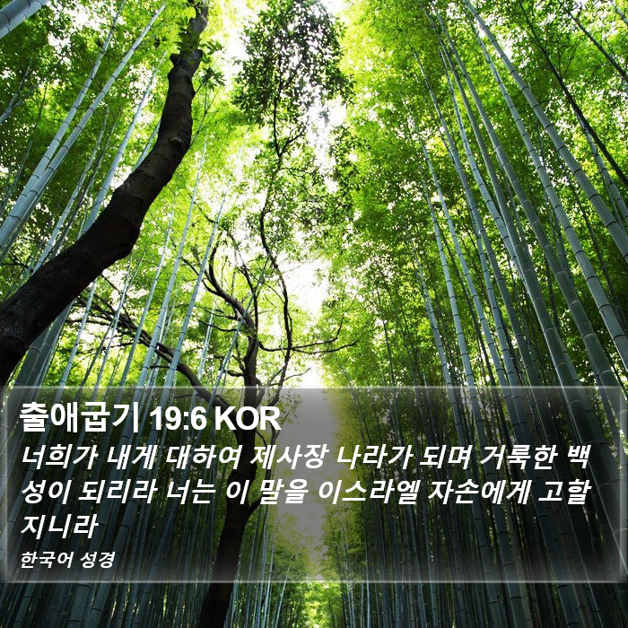 출애굽기 19:6 KOR Bible Study