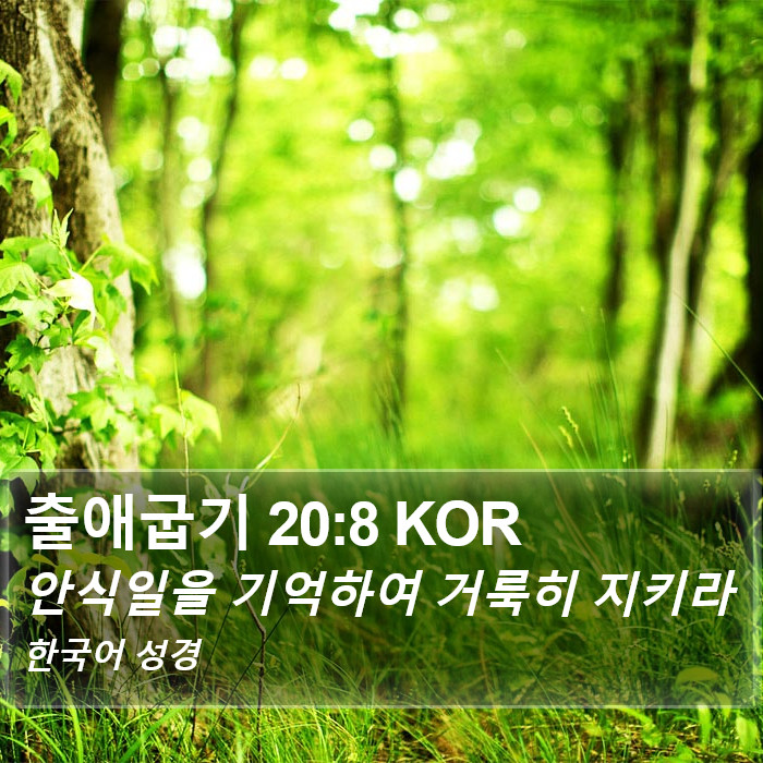 출애굽기 20:8 KOR Bible Study