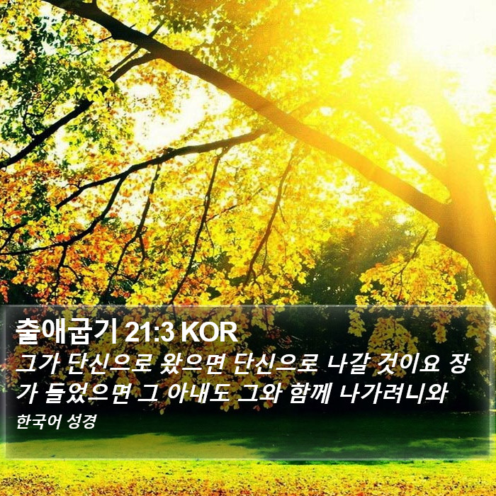 출애굽기 21:3 KOR Bible Study