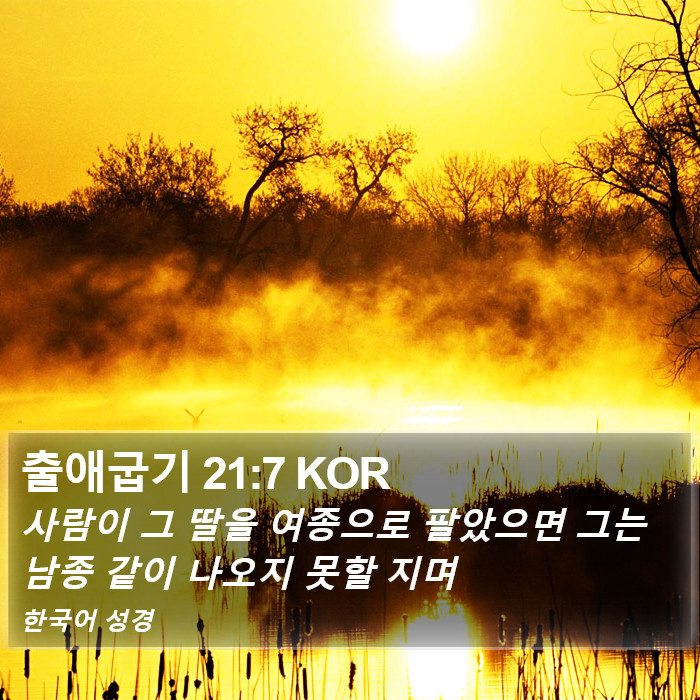 출애굽기 21:7 KOR Bible Study