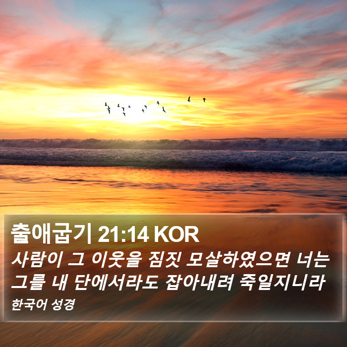 출애굽기 21:14 KOR Bible Study