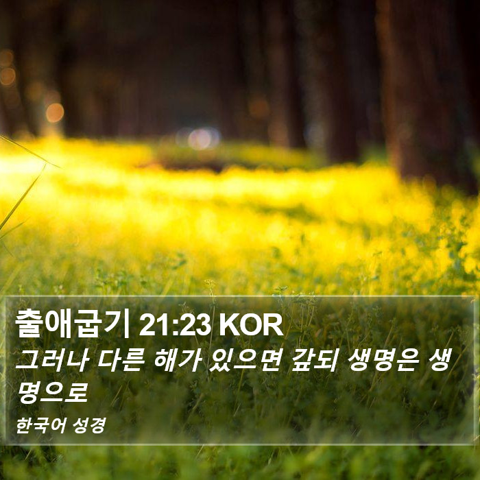 출애굽기 21:23 KOR Bible Study