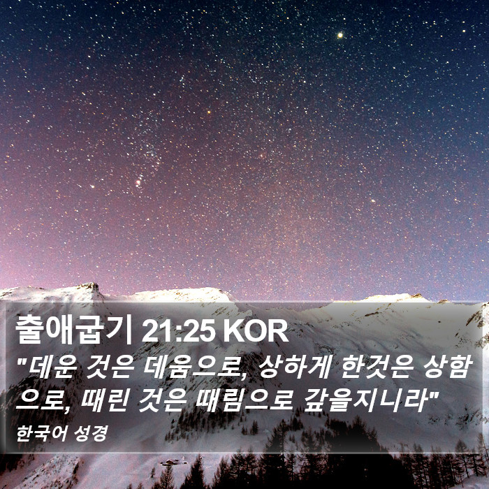 출애굽기 21:25 KOR Bible Study