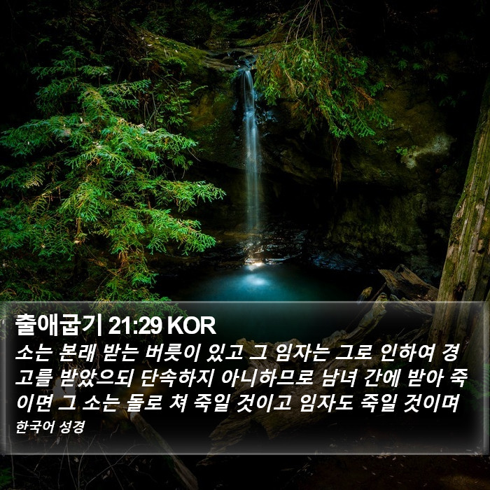 출애굽기 21:29 KOR Bible Study