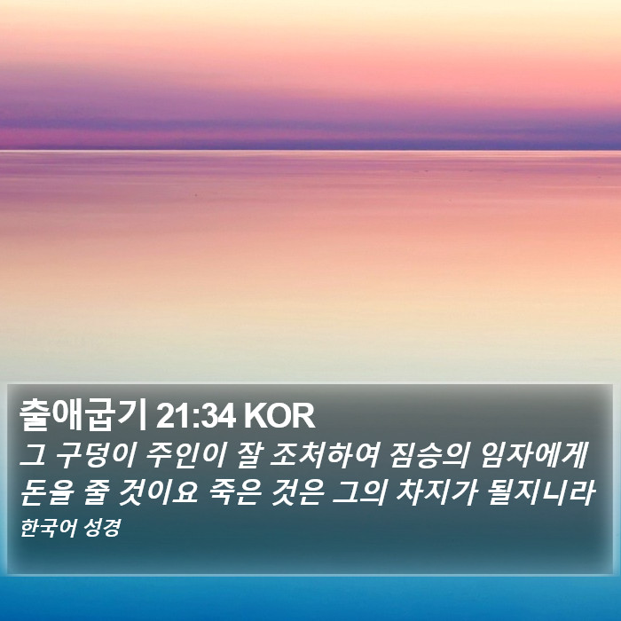 출애굽기 21:34 KOR Bible Study