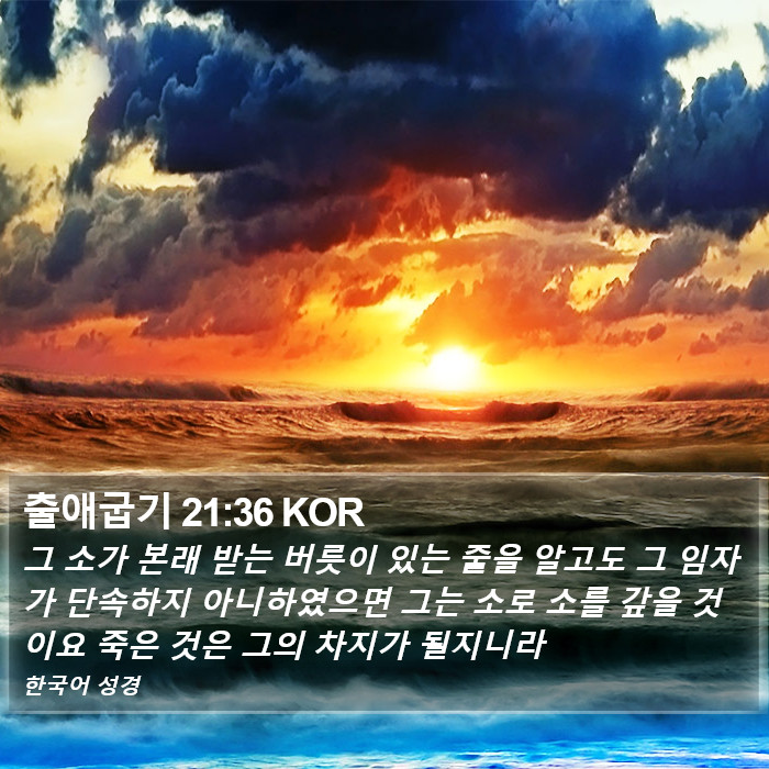 출애굽기 21:36 KOR Bible Study