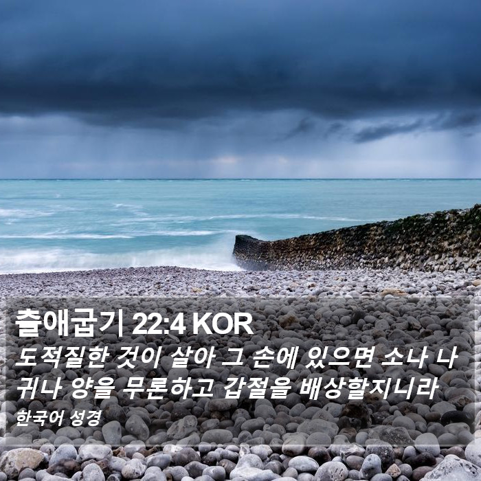 출애굽기 22:4 KOR Bible Study