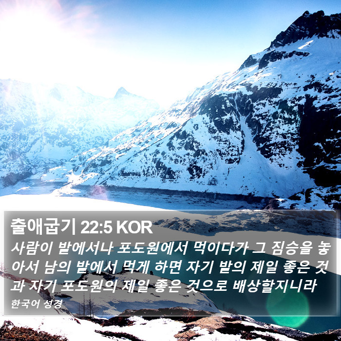 출애굽기 22:5 KOR Bible Study