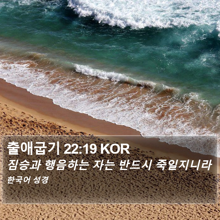 출애굽기 22:19 KOR Bible Study