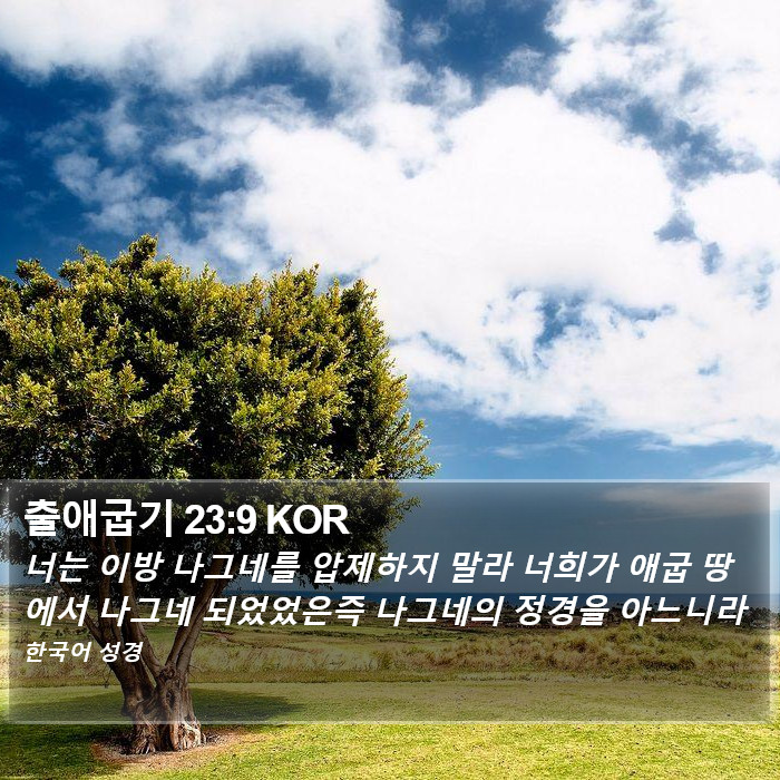출애굽기 23:9 KOR Bible Study