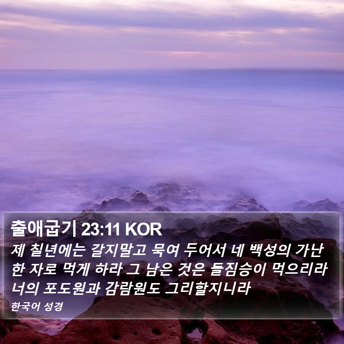 출애굽기 23:11 KOR Bible Study