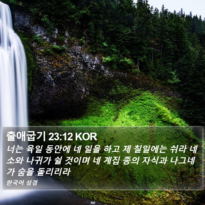 출애굽기 23:12 KOR Bible Study