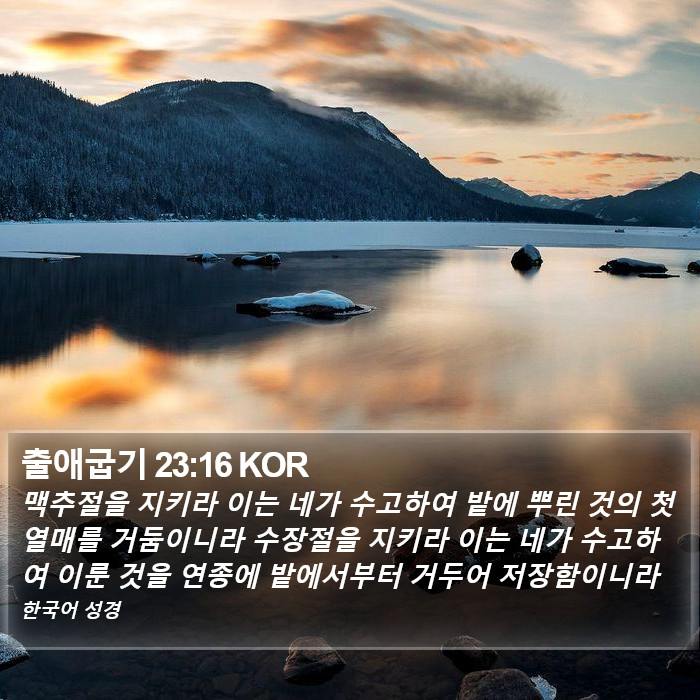 출애굽기 23:16 KOR Bible Study