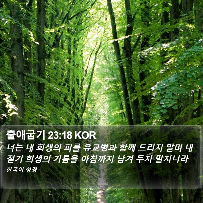출애굽기 23:18 KOR Bible Study