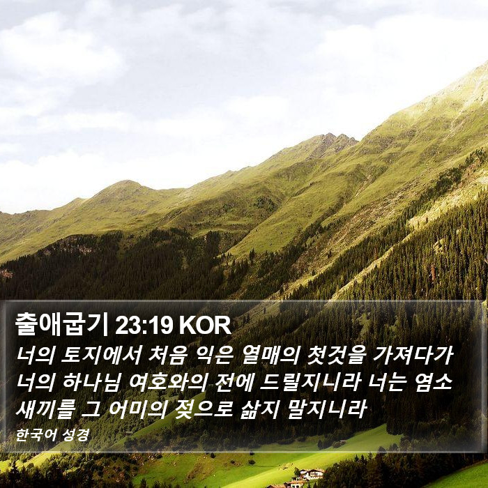 출애굽기 23:19 KOR Bible Study