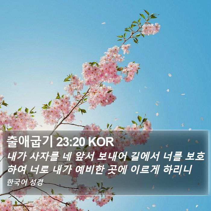 출애굽기 23:20 KOR Bible Study