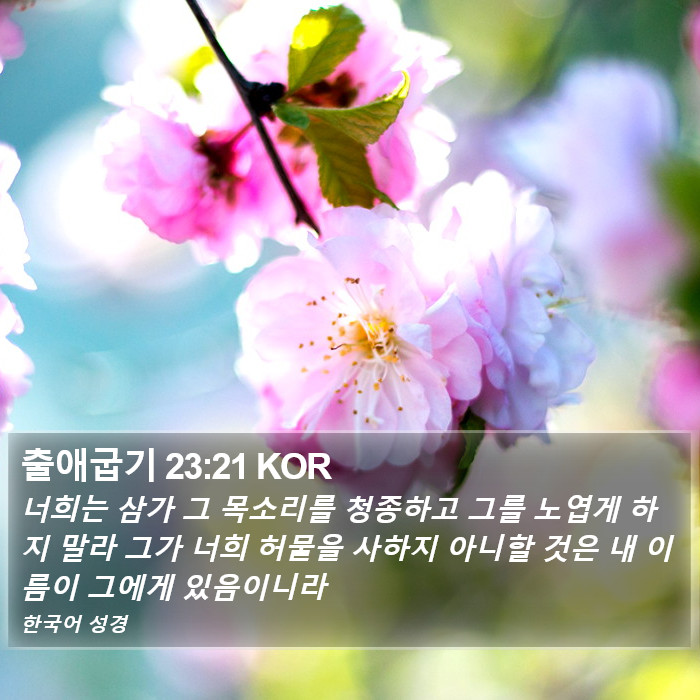 출애굽기 23:21 KOR Bible Study
