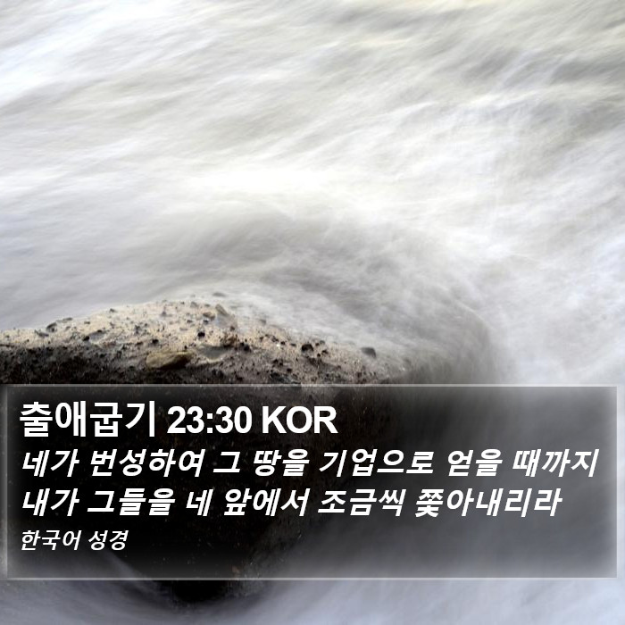 출애굽기 23:30 KOR Bible Study
