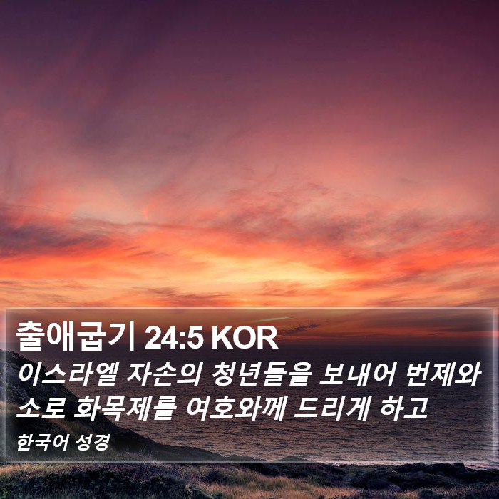 출애굽기 24:5 KOR Bible Study