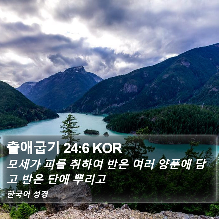 출애굽기 24:6 KOR Bible Study