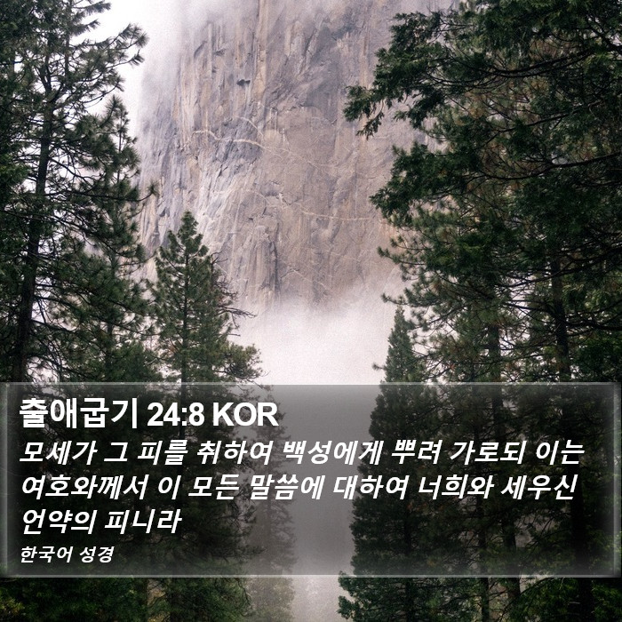 출애굽기 24:8 KOR Bible Study