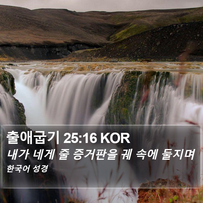 출애굽기 25:16 KOR Bible Study