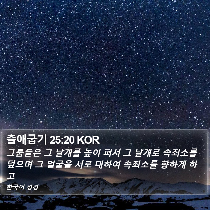 출애굽기 25:20 KOR Bible Study